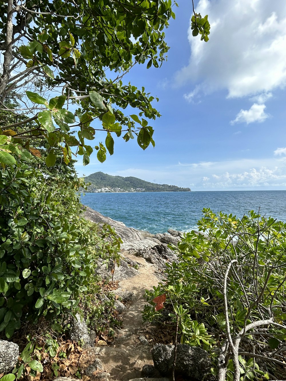 a path leading to the ocean on a sunny day