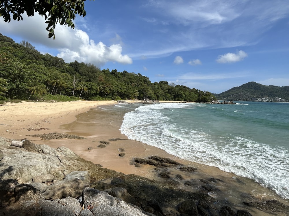a sandy beach next to a lush green forest covered hillside