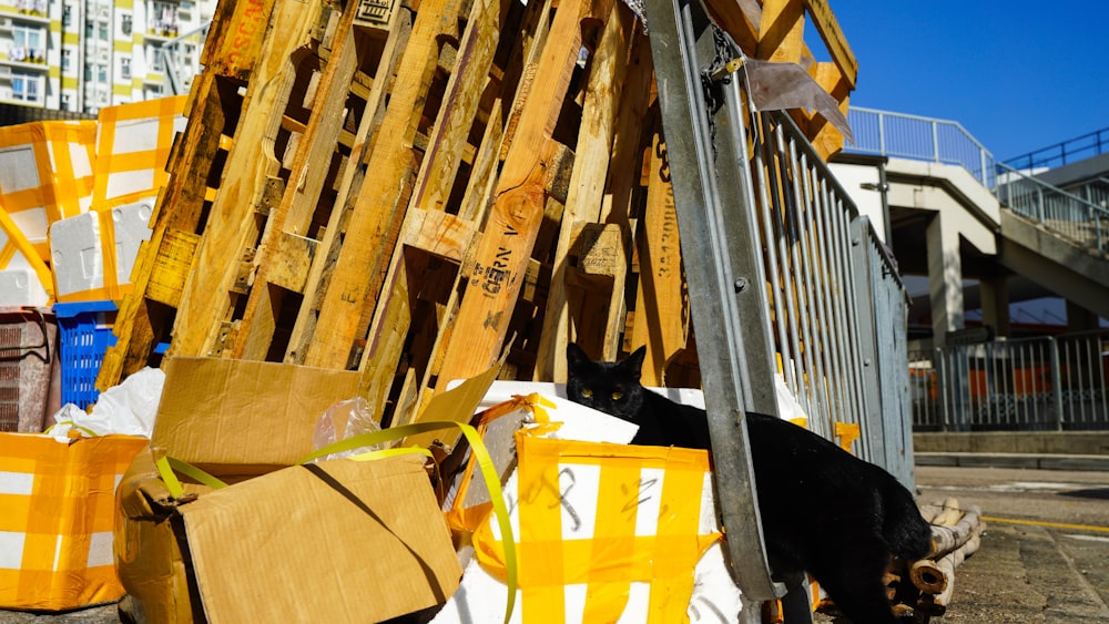 a black cat standing next to a pile of wooden pallets