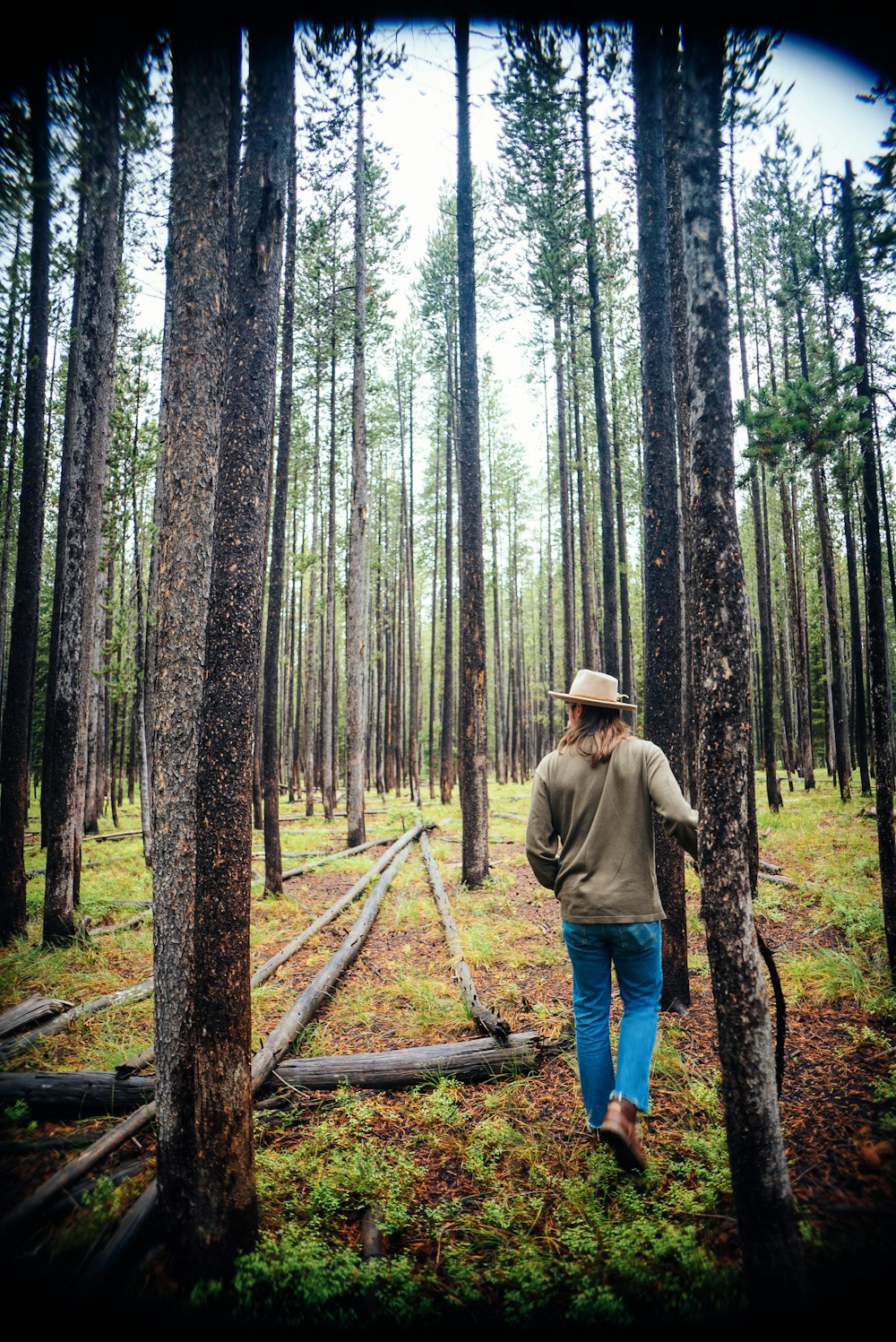 a man in a hat walking through a forest