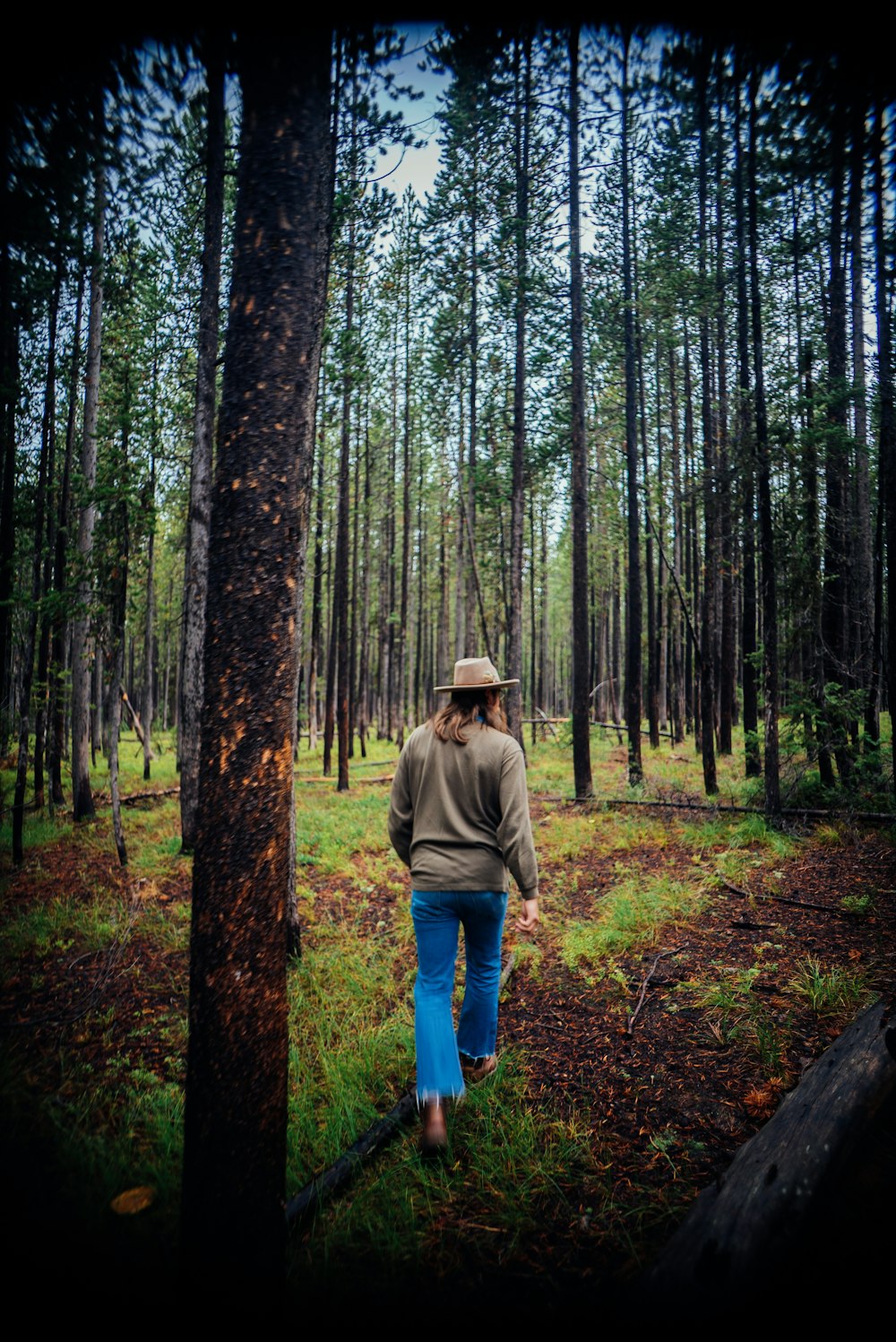 a man in a hat walking through a forest