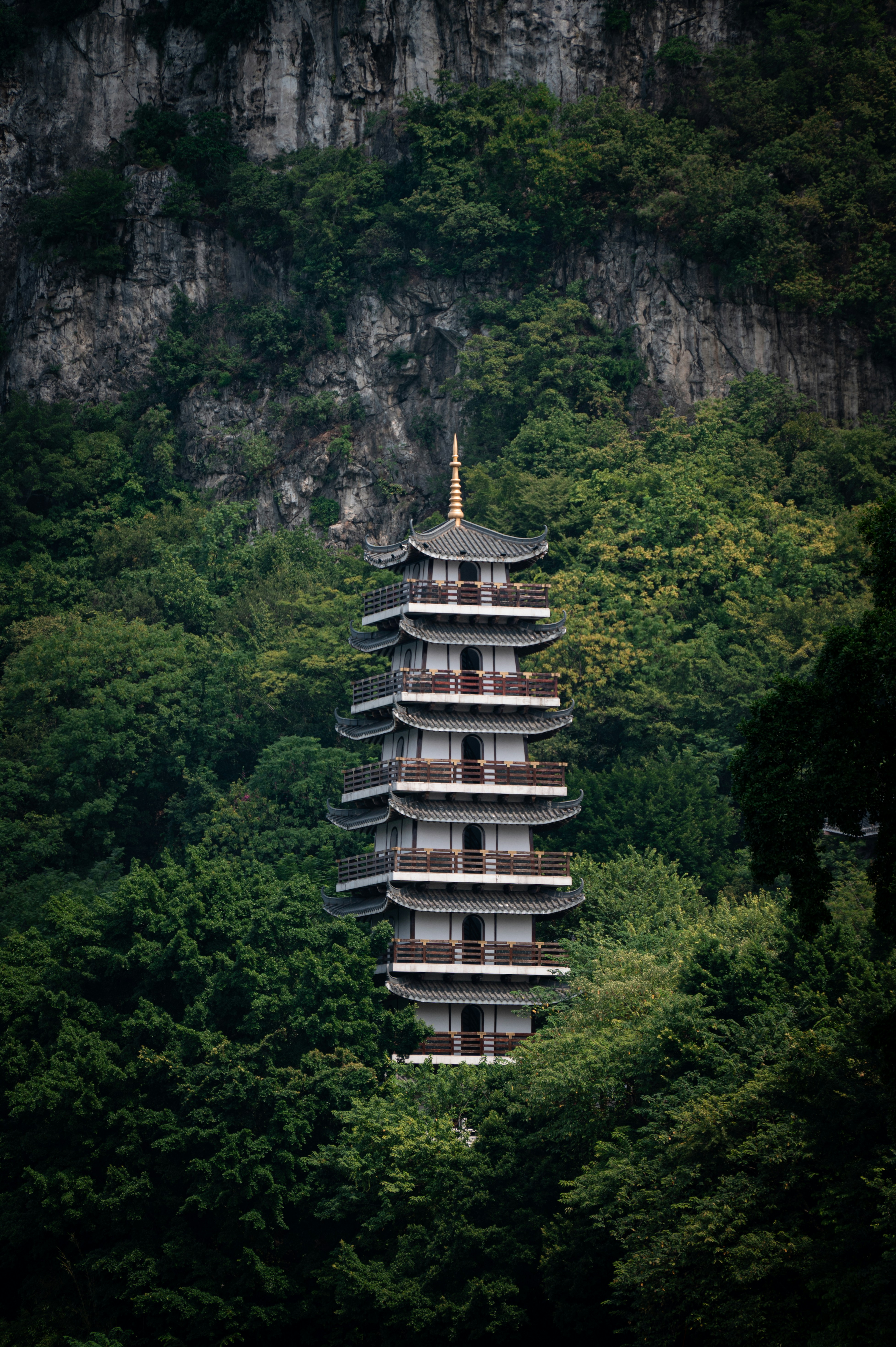 ein hoher Turm mitten im Wald