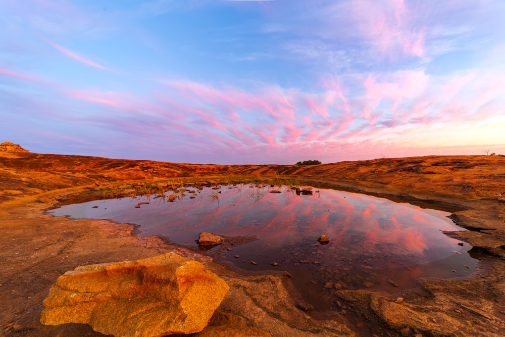 a small pond in the middle of a desert