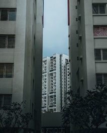 a couple of tall buildings sitting next to each other