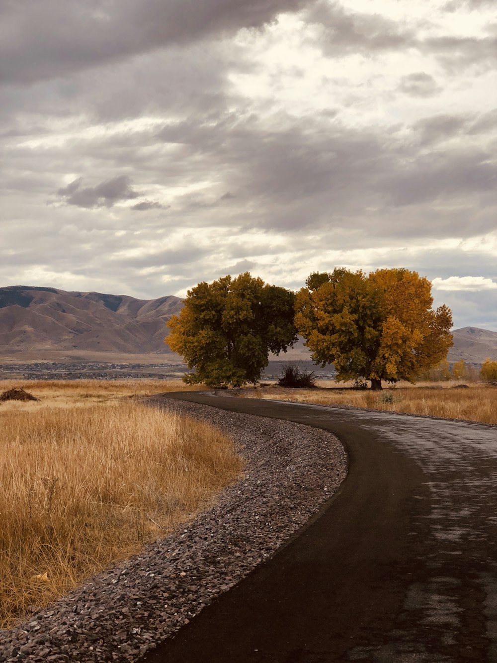 a dirt road in the middle of a dry grass field