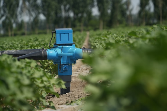 A blue agricultural irrigation valve is positioned prominently among lush green plants in a field. The equipment is connected to black pipes and sits on sandy soil, with several rows of plants extending into the background. The setting suggests an agricultural environment with green foliage under a clear sky.