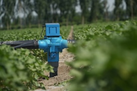 A blue agricultural irrigation valve is positioned prominently among lush green plants in a field. The equipment is connected to black pipes and sits on sandy soil, with several rows of plants extending into the background. The setting suggests an agricultural environment with green foliage under a clear sky.