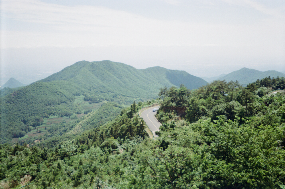 a scenic view of a road surrounded by trees