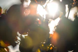 Sunlight dappling through leaves onto the abstract sculpture outside.