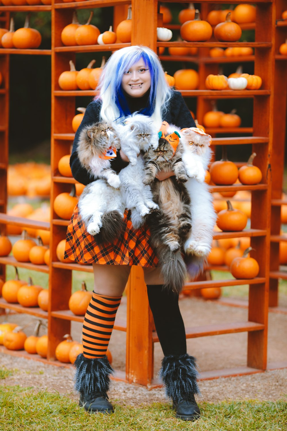 a woman with blue hair holding two cats