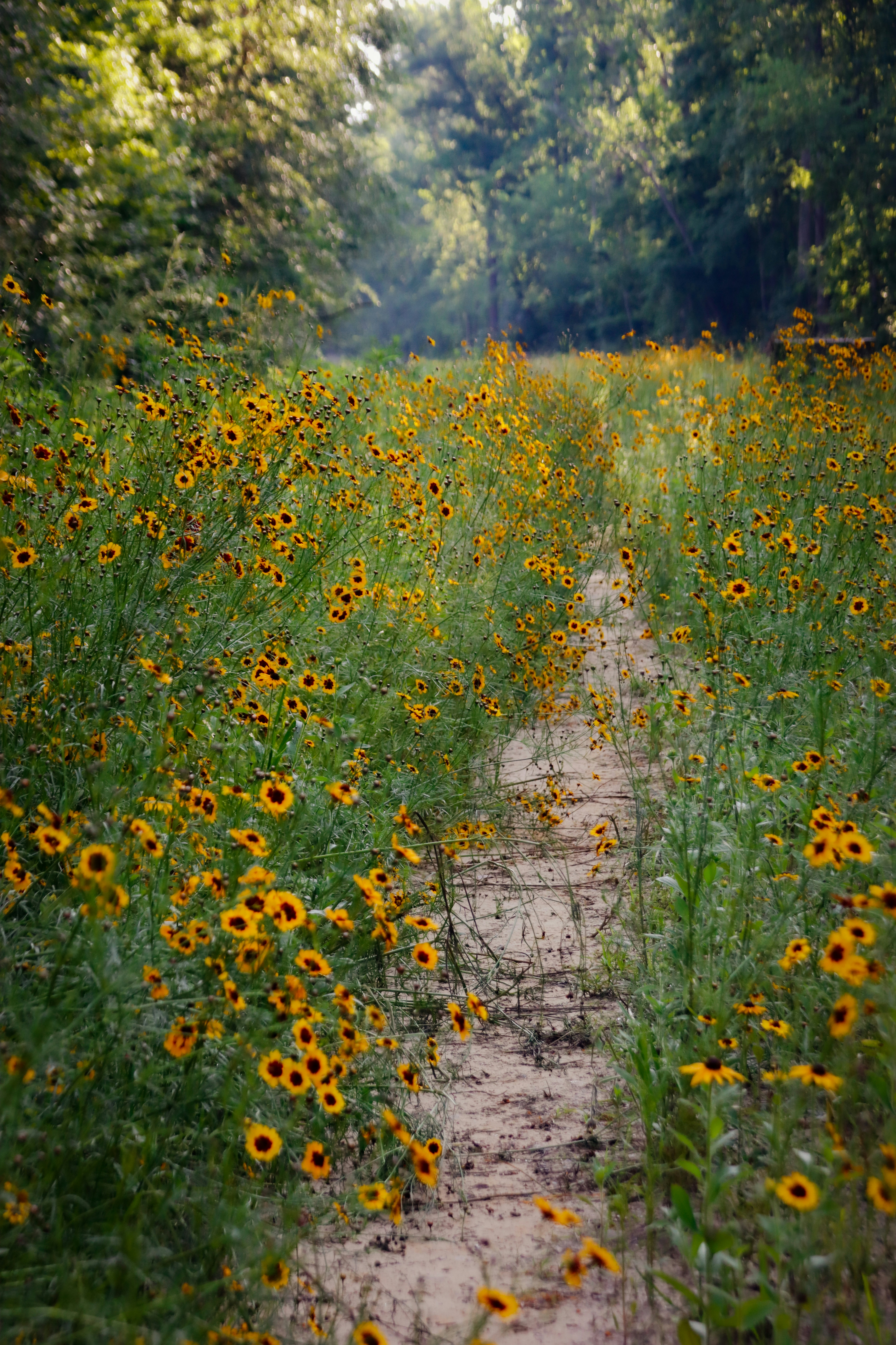 Photo by alla_kemelmakher