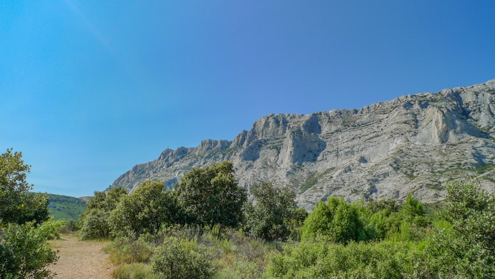 a dirt road surrounded by trees and mountains