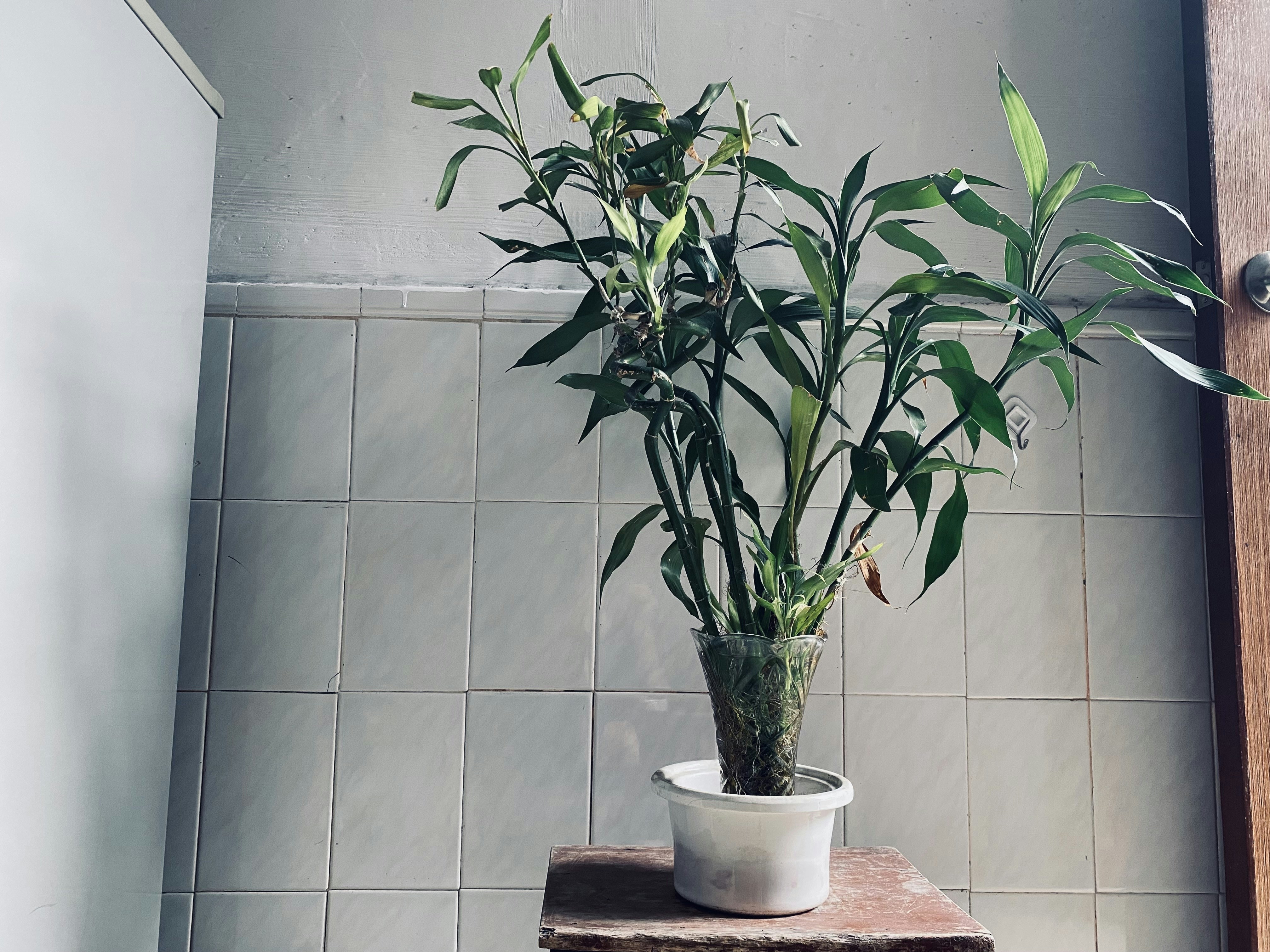 EcoSmart Air Purifier