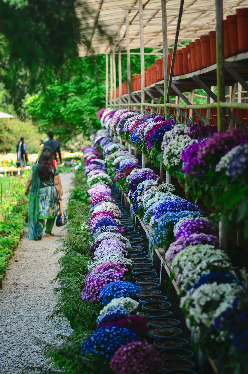 a woman walking down a path between rows of flowers
