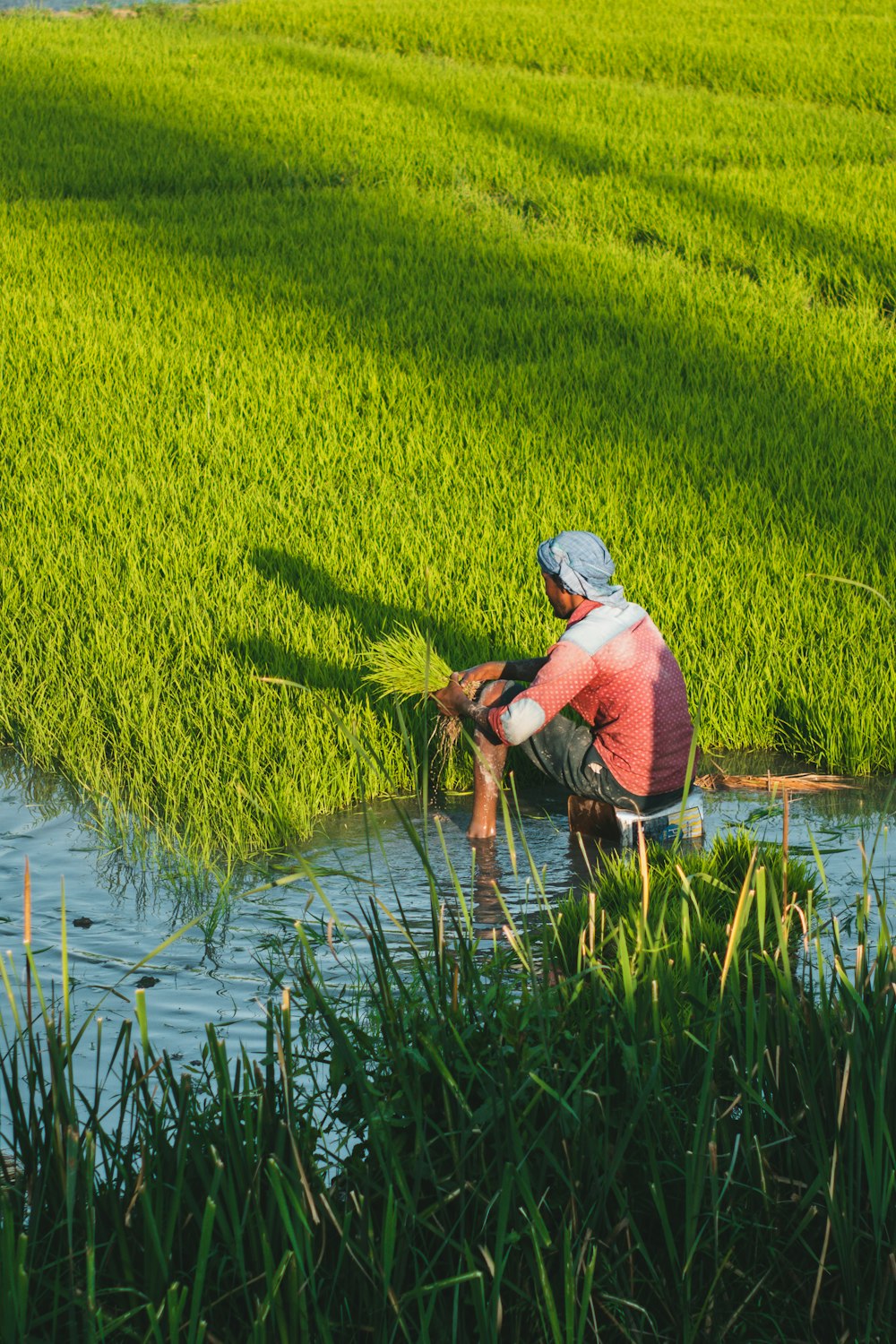 a man sitting in a body of water next to a lush green field