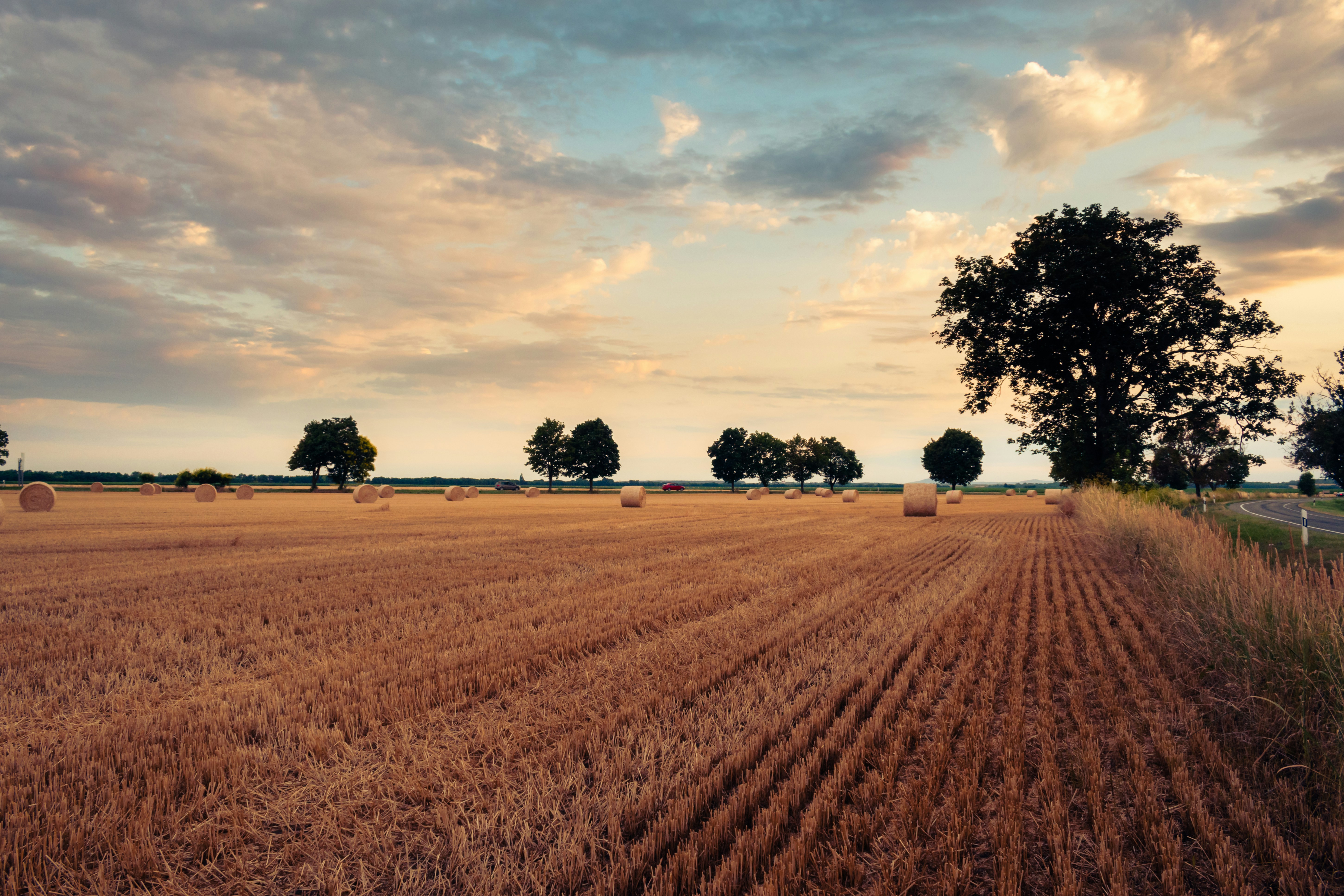 Photo by niki_emmert