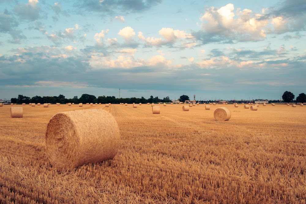 bales of hay in a field under a cloudy sky