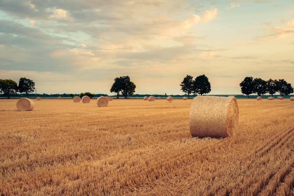 a field of hay with bales of hay in the foreground