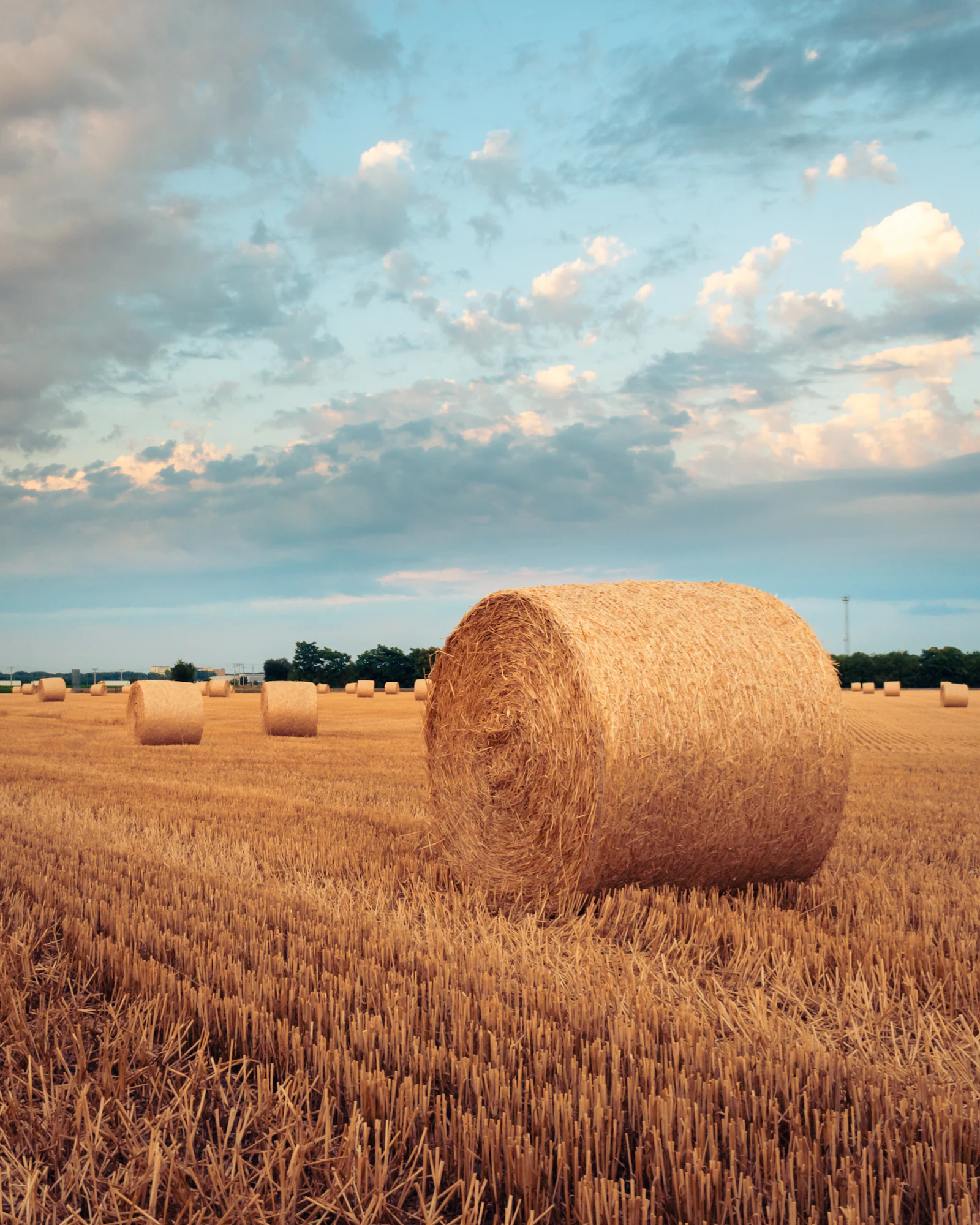 Straw bales in a paddock under a cloudy sky