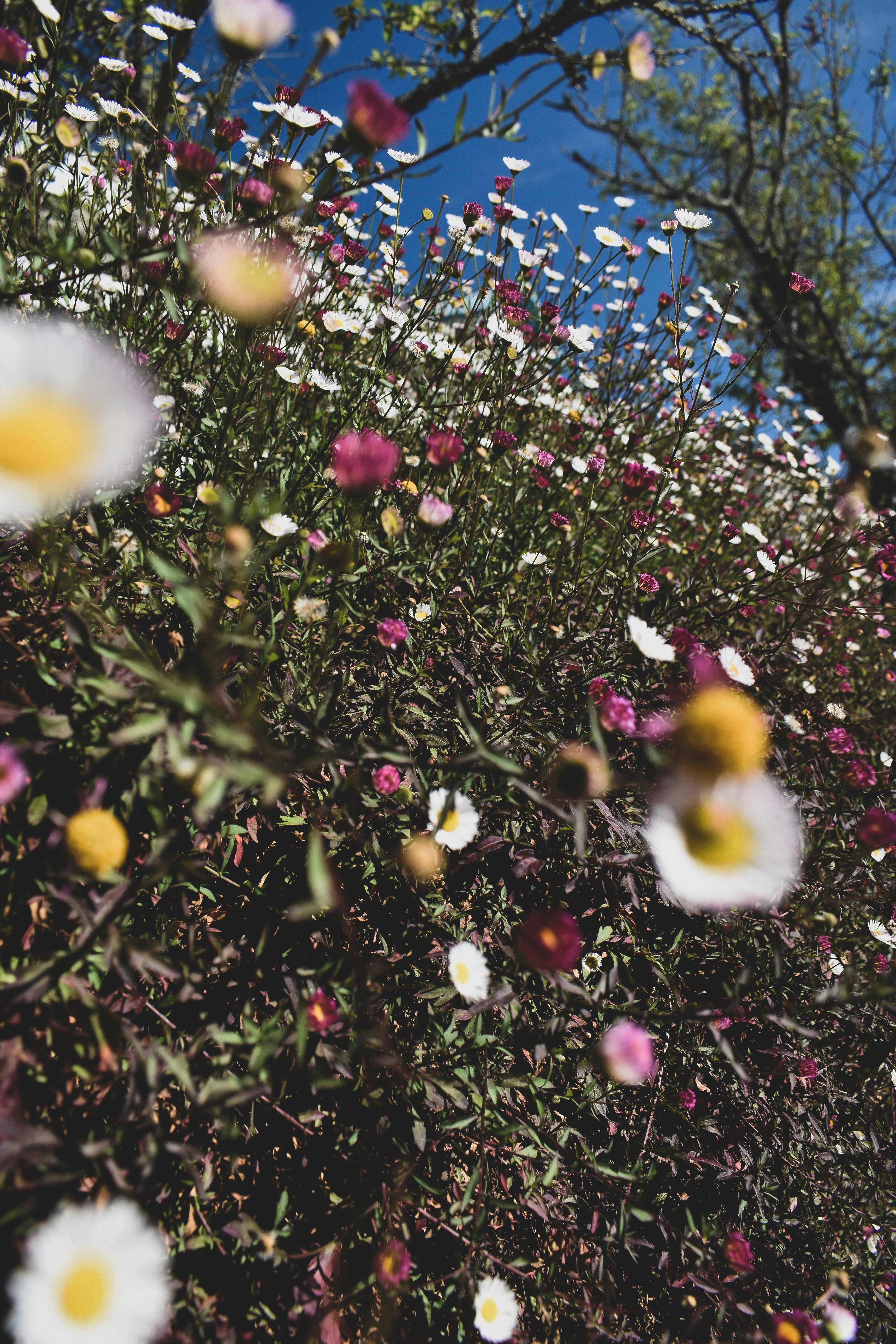 Photo by vignesh1003