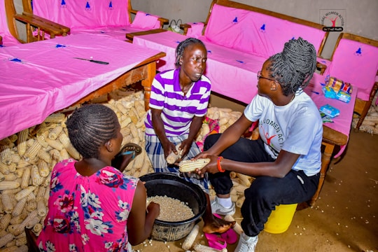 Three individuals are gathered on the floor handling maize in a room. The room has wooden furniture covered with pink fabric. One person is holding a maize cob while the others are engaging in conversation. A black container filled with more maize cobs is present, and packets of products are on the furniture.