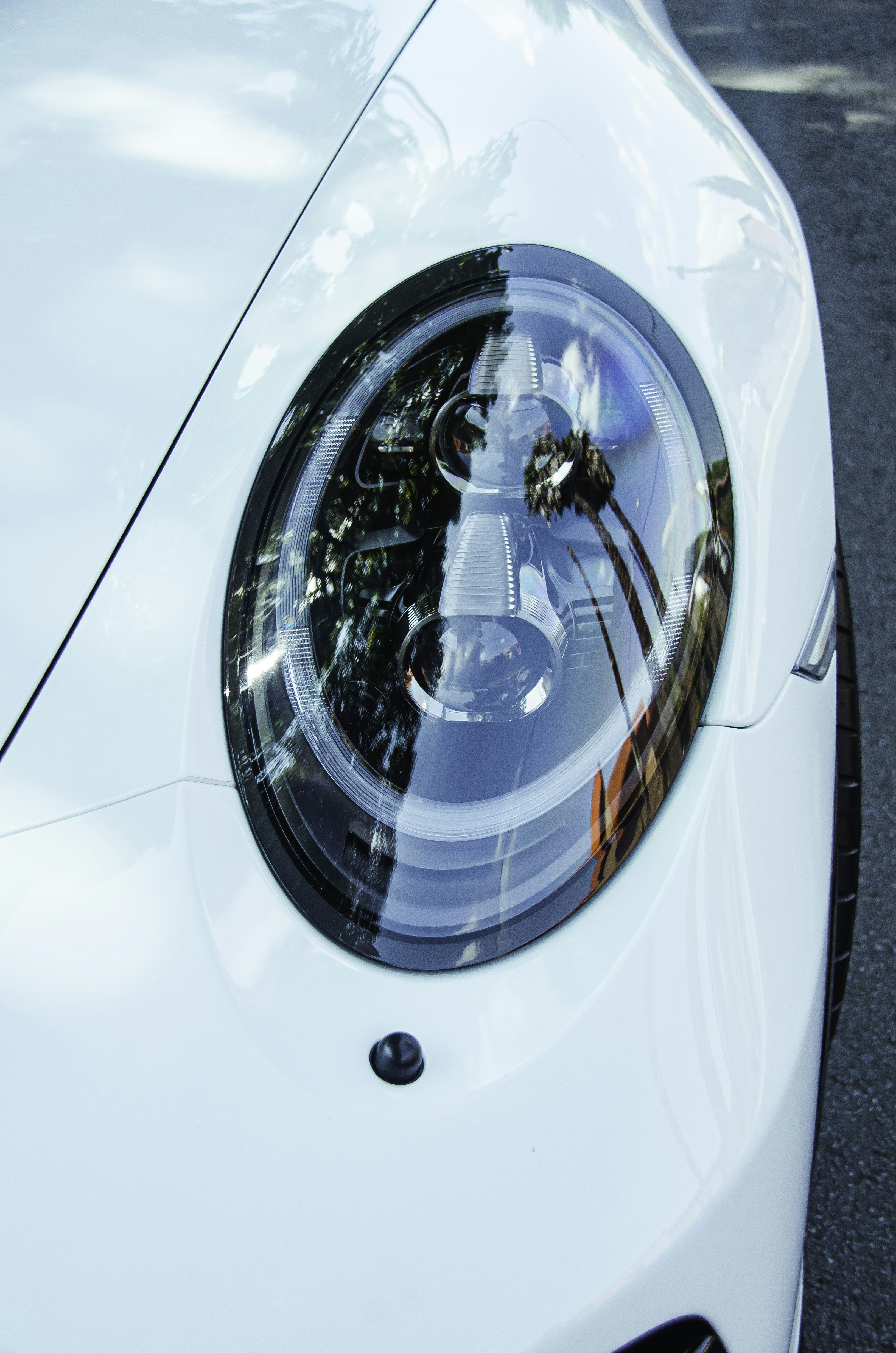 Photo by ryno_marais