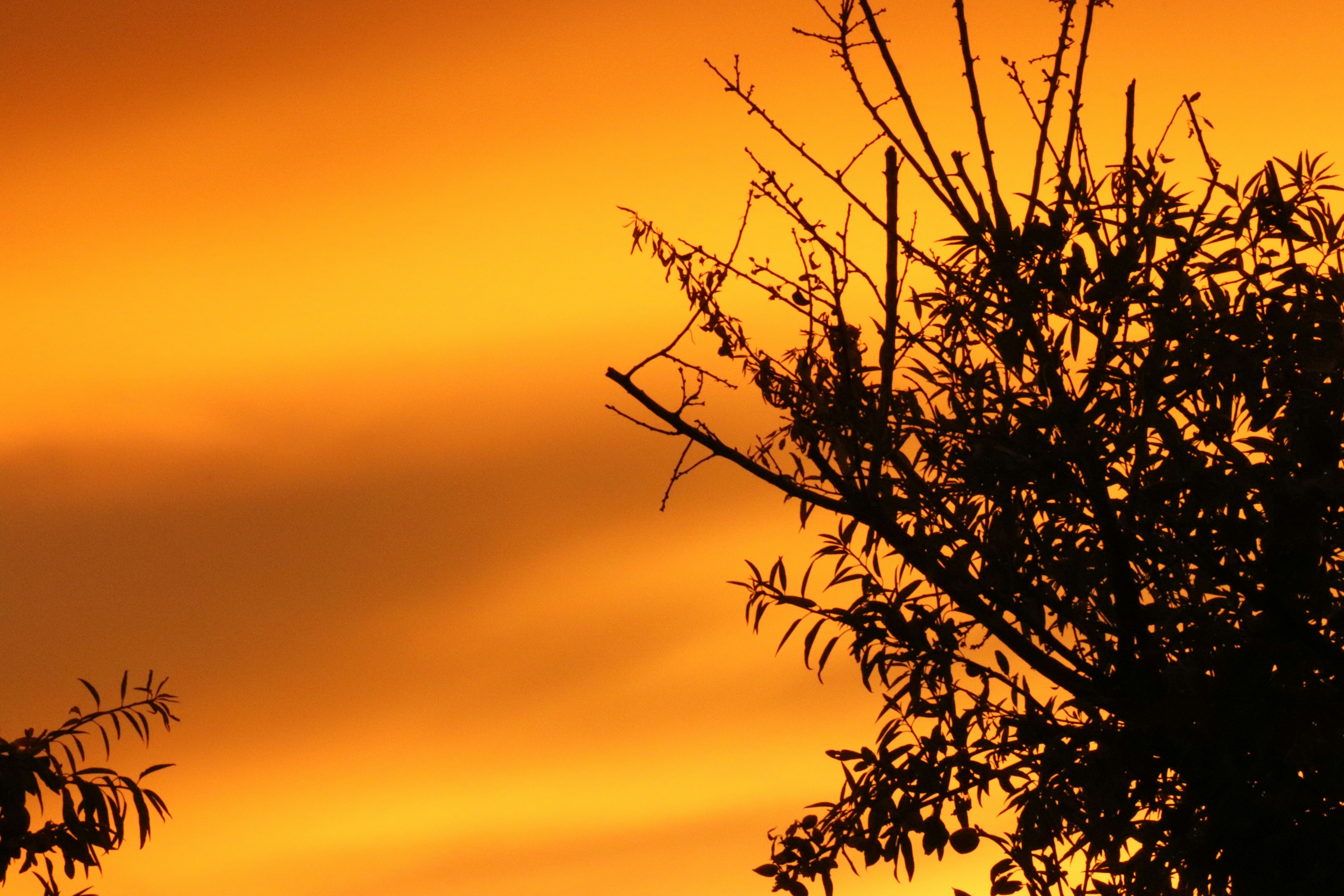 Photo by shirazgolden_photo