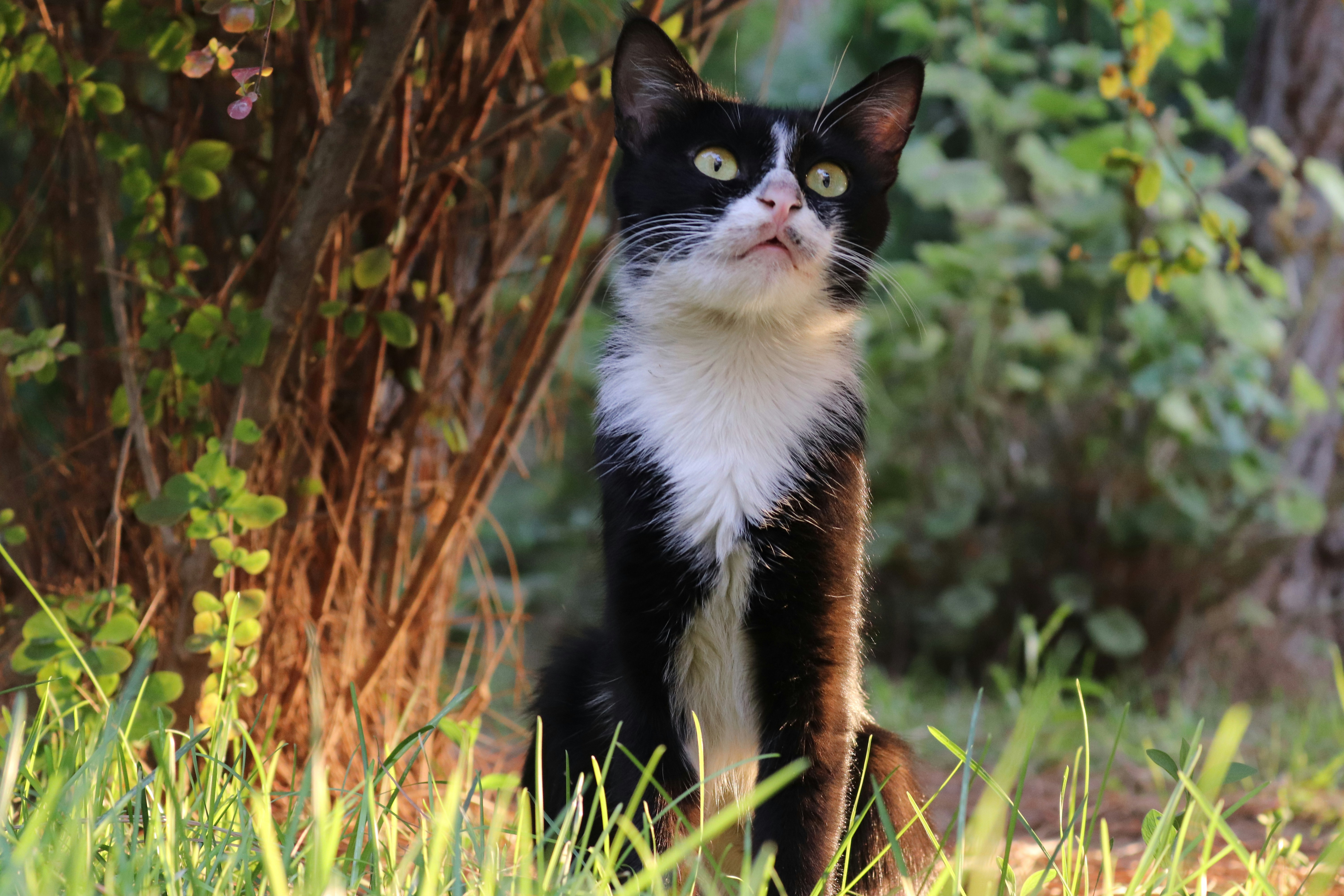 Photo by shirazgolden_photo