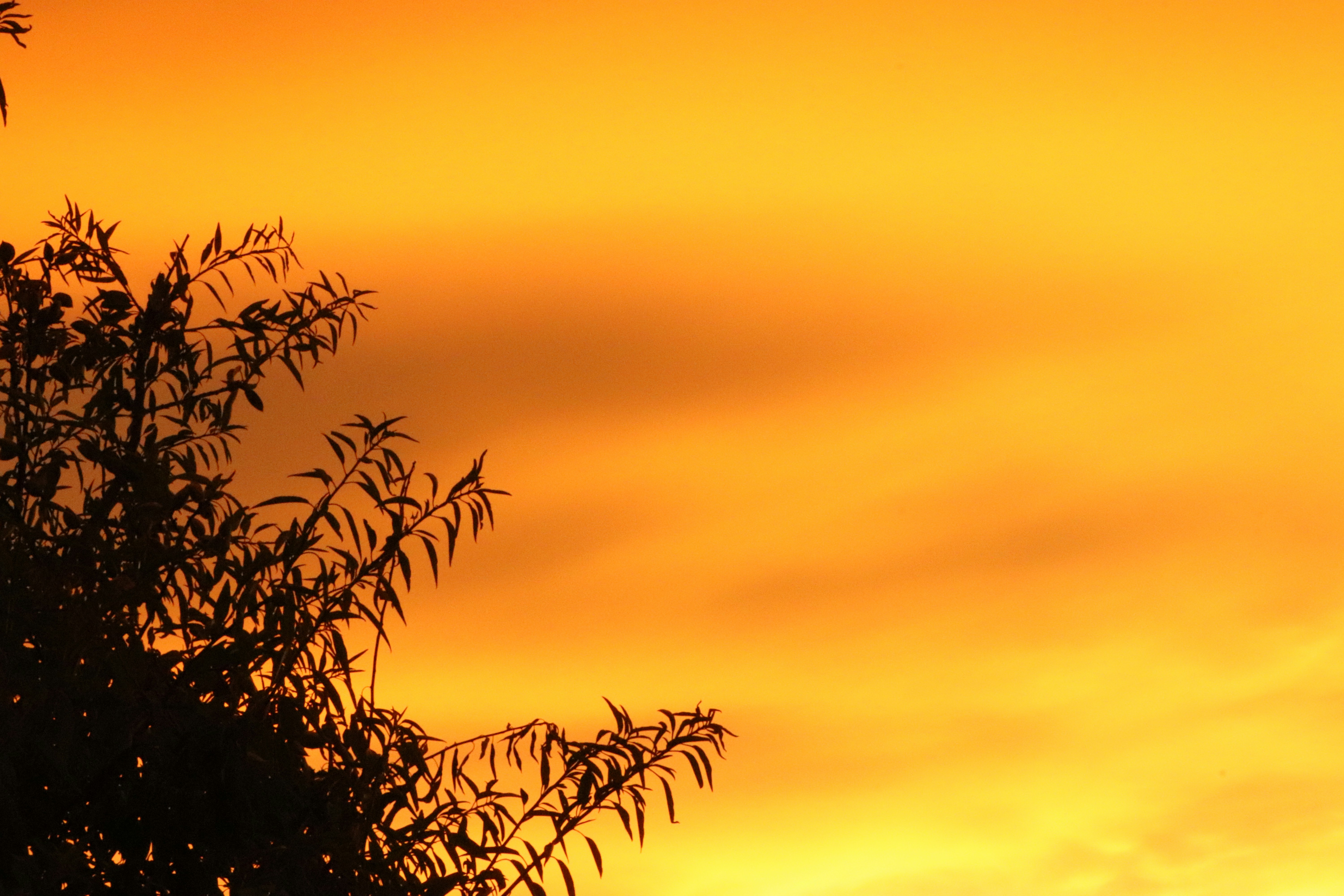 Photo by shirazgolden_photo