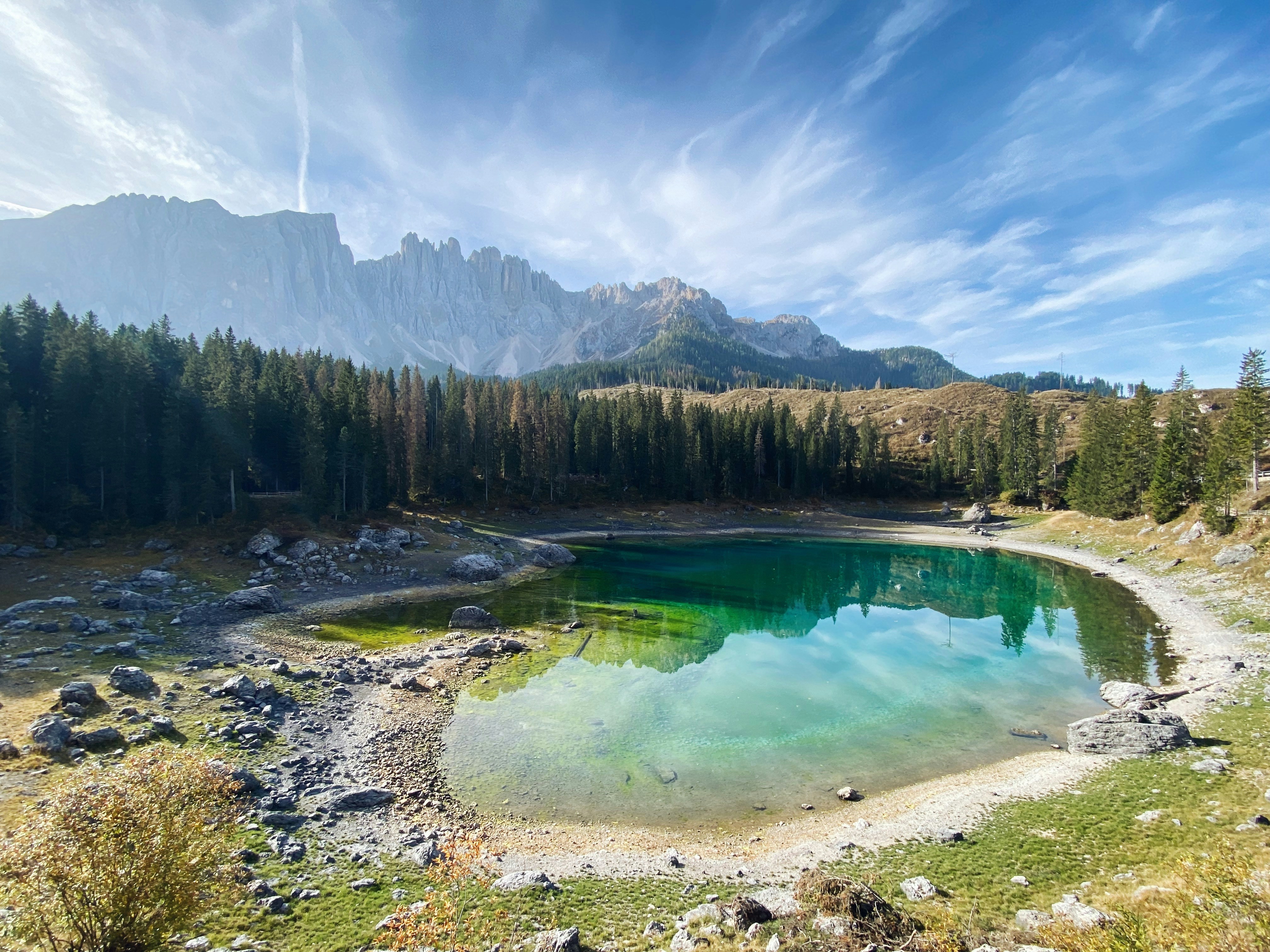 a lake in the middle of a forest with mountains in the background