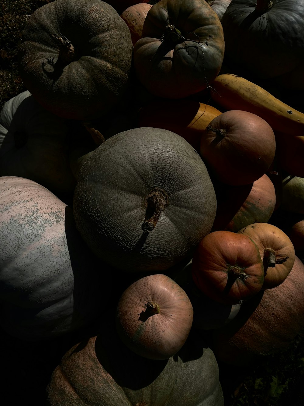 a pile of pumpkins sitting next to each other