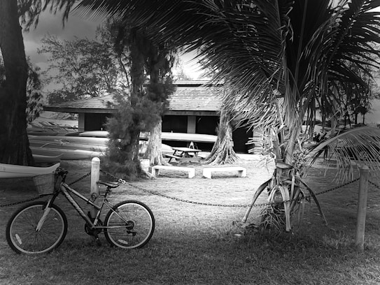 A black and white image of a rustic outdoor setting features a wooden building with canoes stored alongside it, surrounded by tall trees and foliage. A bicycle with a basket is parked on grassy ground, secured by a metal chain. A picnic table is also visible near the building.