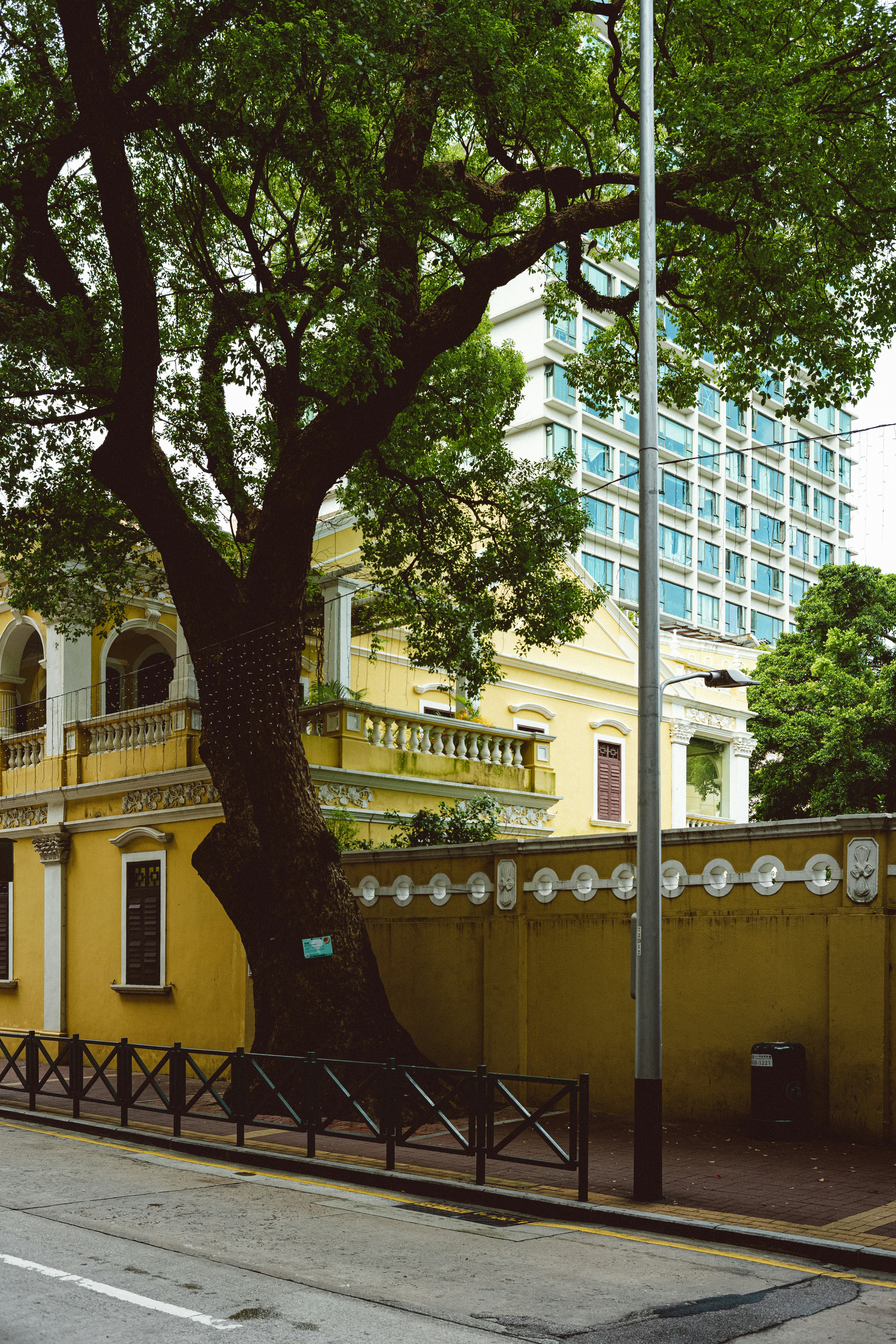 Photo by tommaomaoer