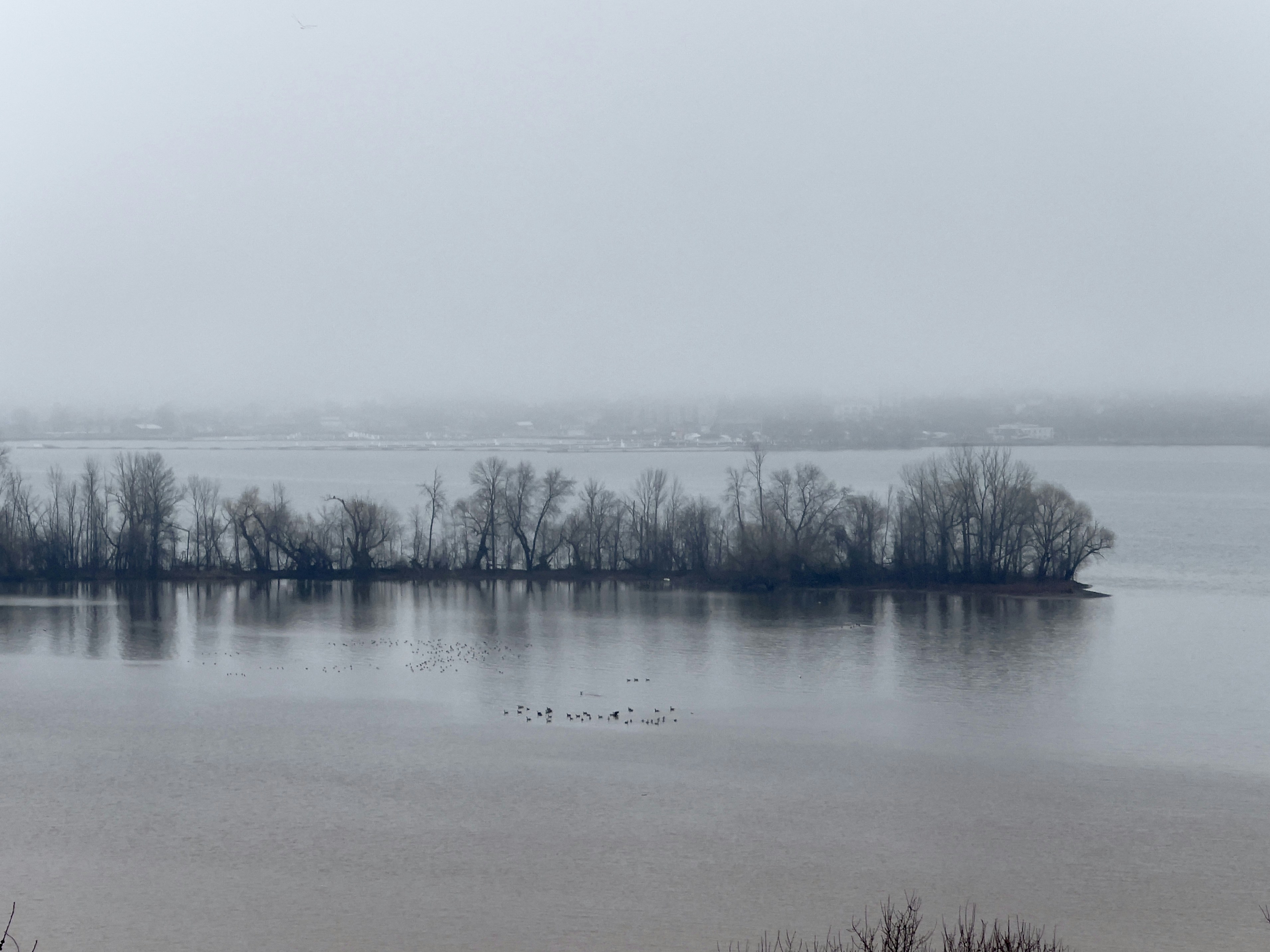 Burlington landscape