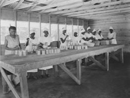 A group of women, dressed in white uniforms and caps, work together in a wooden structure with a large table. They are engaged in an industrial task, likely related to food production, handling cans and other items. The setting suggests an organized and collaborative environment.