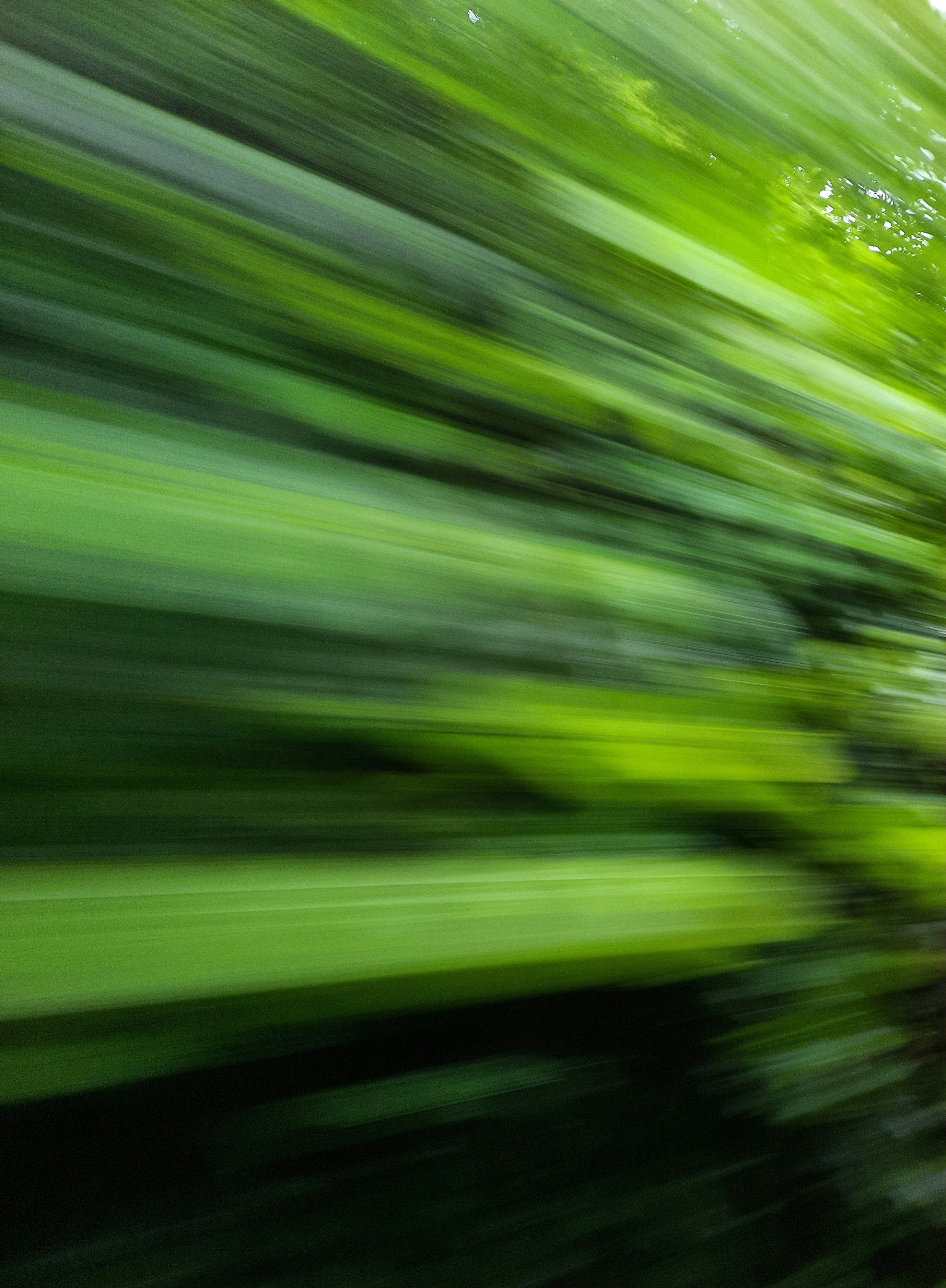 Photo by manjuvishnu