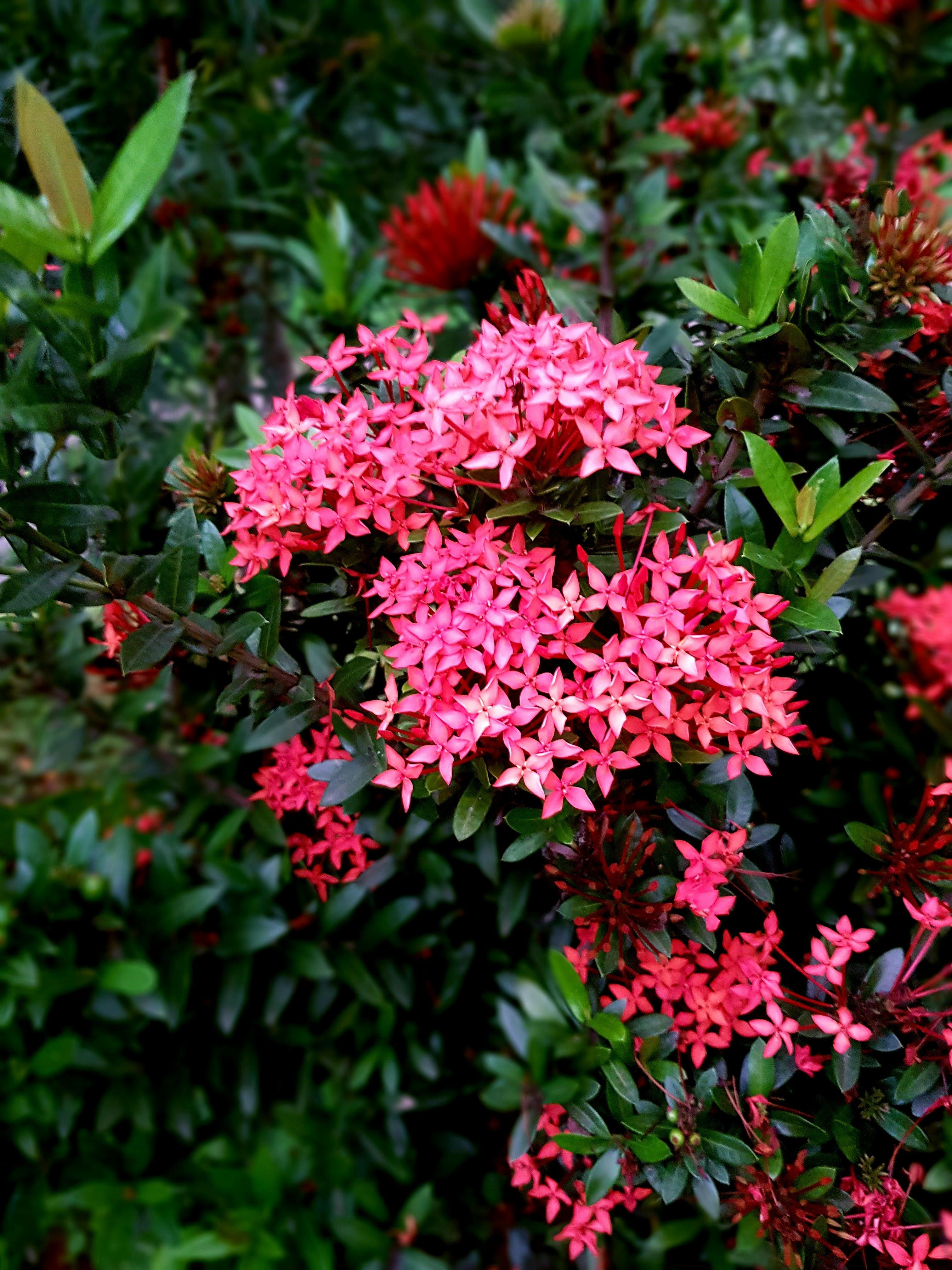 Photo by manjuvishnu