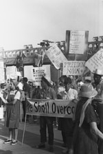 A group of people are gathered in a protest or rally, holding various signs with messages advocating for voting rights, democracy, and representation. Some of the signs read 'Fighting for the right to vote,' 'Freedom now,' 'We shall overcome,' and '1 million Mississippi Negroes deserve representation.' The crowd appears engaged and focused on the cause.