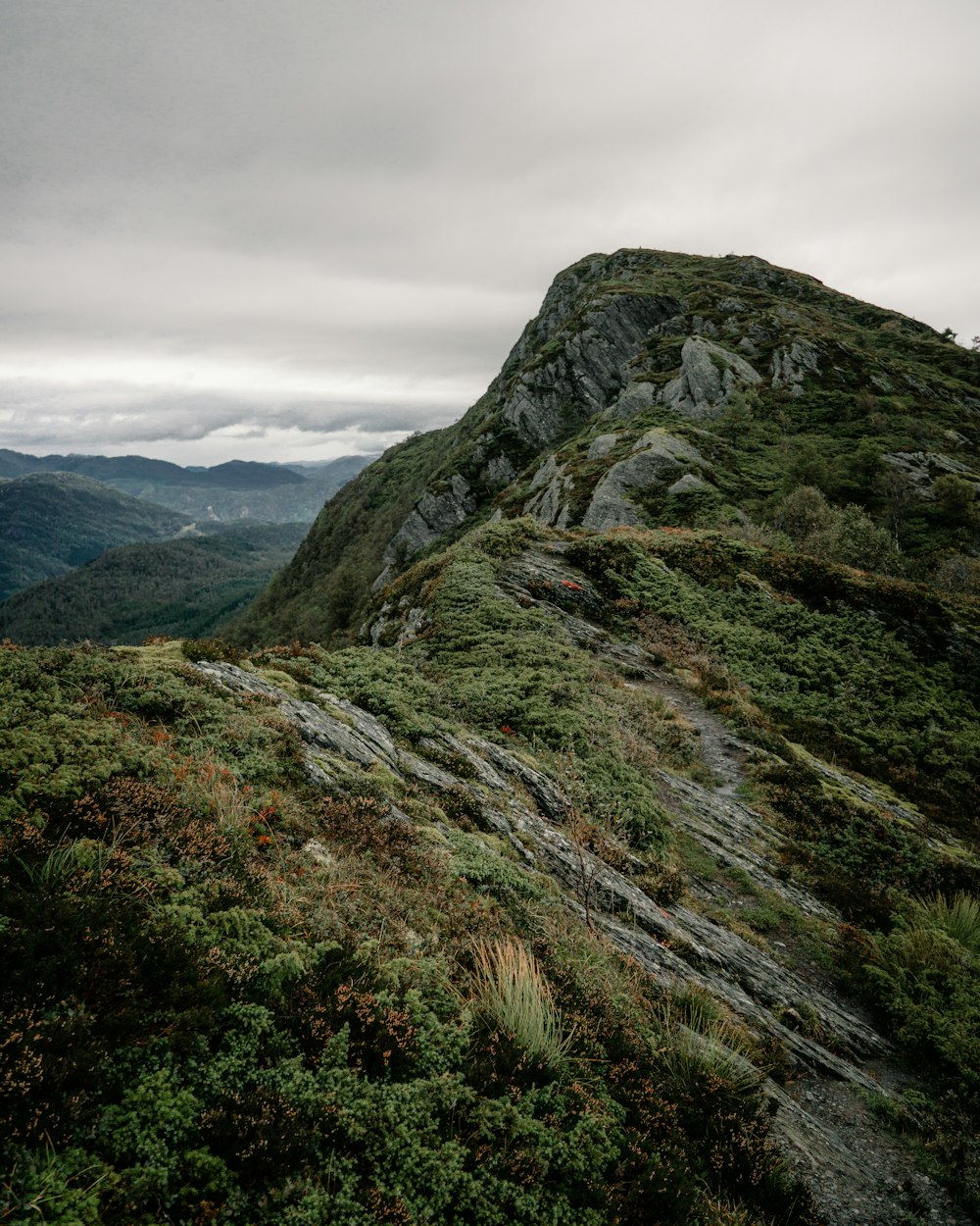 a person standing on top of a lush green hillside