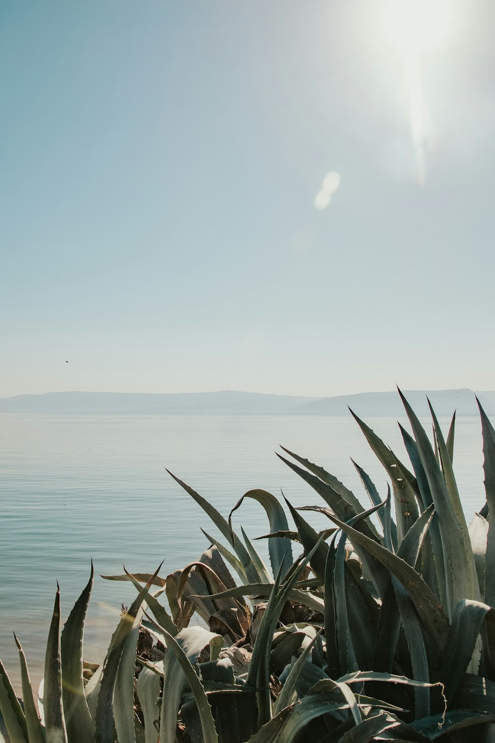 a view of a body of water from a beach