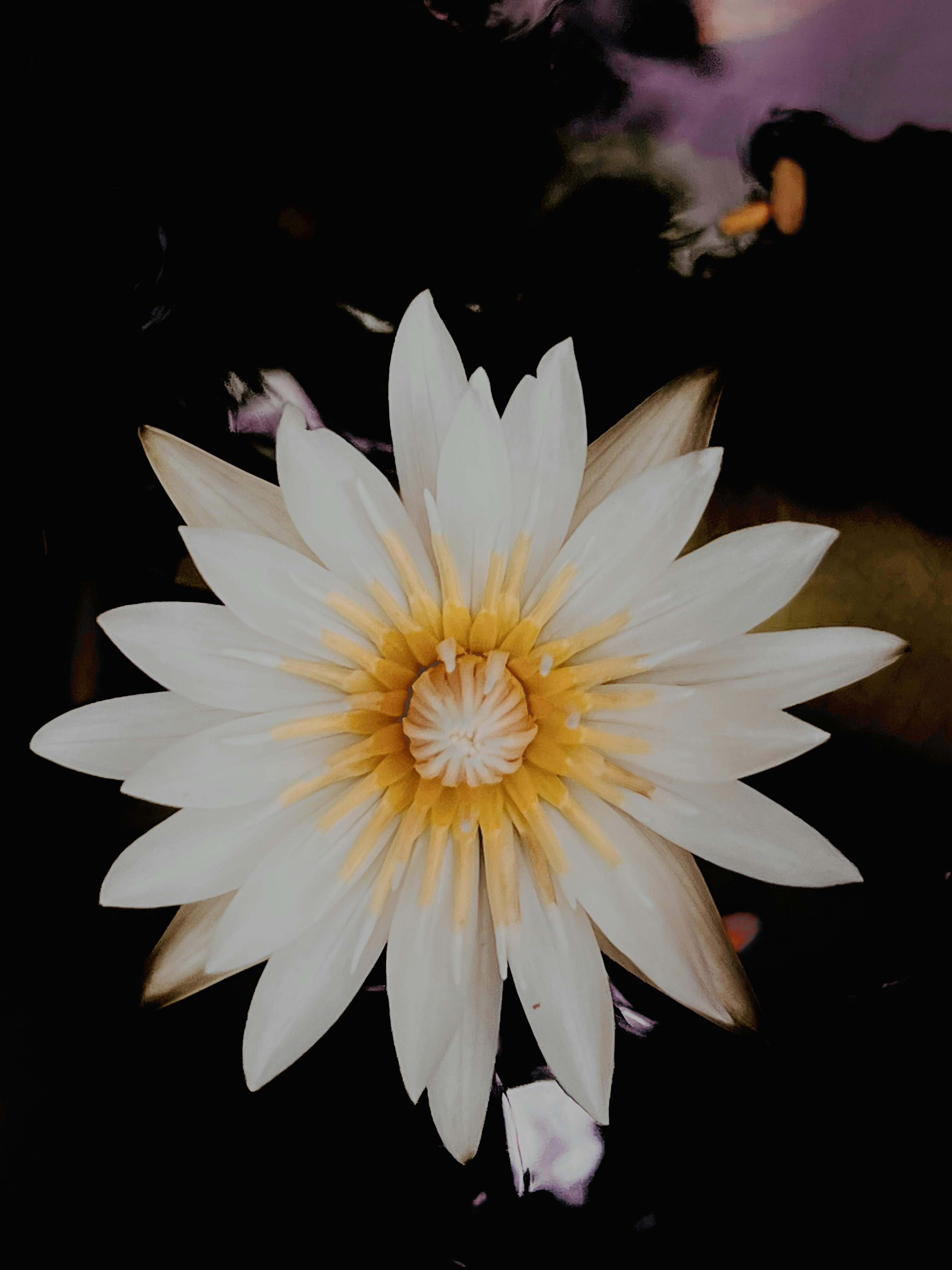 Photo by thanhliem178