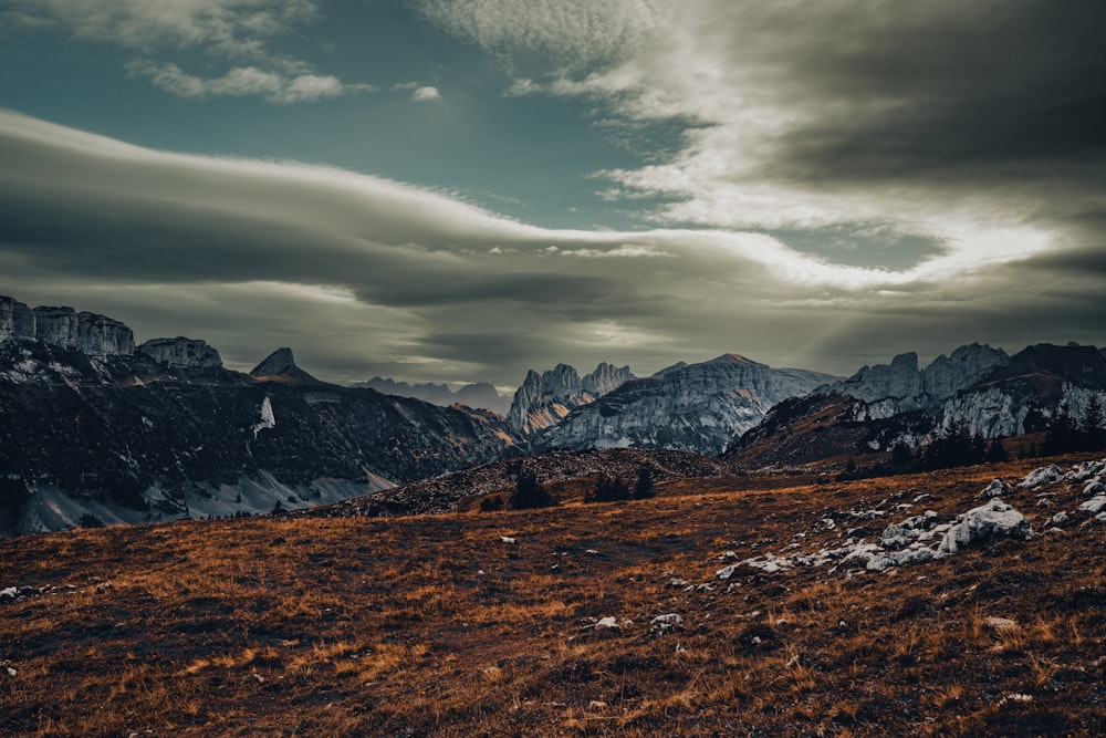 a grassy field with mountains in the background