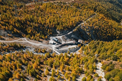 An aerial view of a mountainous landscape covered in dense, colorful forest with a mix of green and yellow foliage. A winding dirt road leads to a small industrial site with several buildings situated in a clearing among the trees.