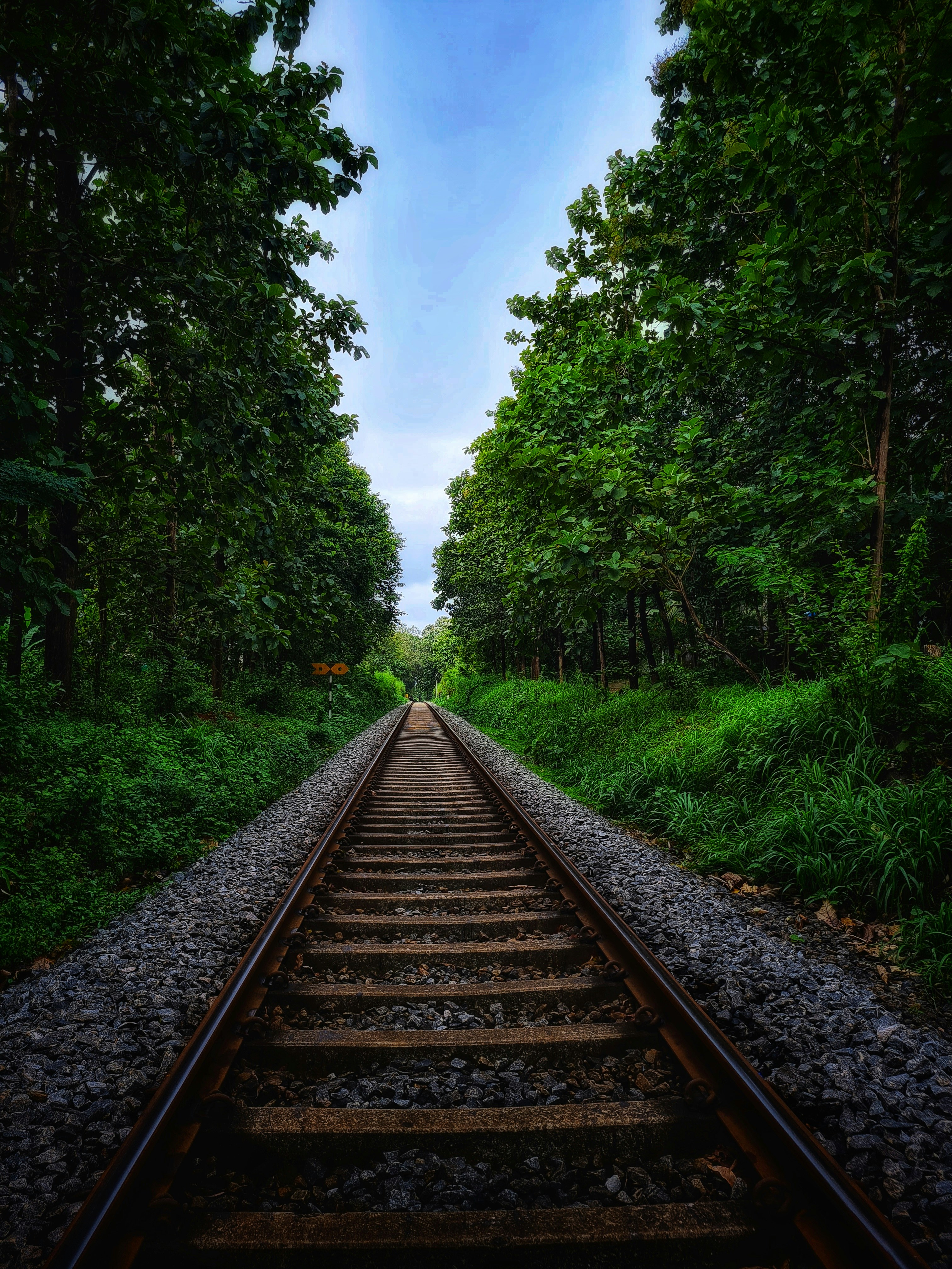 Photo by manjuvishnu