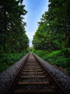 Railroad tracks stretch into the distance, flanked by lush green trees on both sides under a clear blue sky. The scene conveys a sense of symmetry and tranquility.
