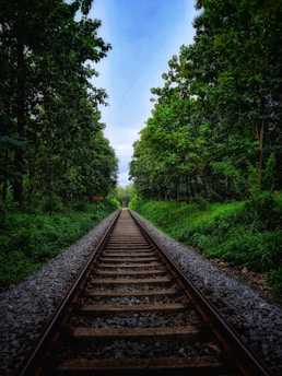 Railroad tracks stretch into the distance, flanked by lush green trees on both sides under a clear blue sky. The scene conveys a sense of symmetry and tranquility.