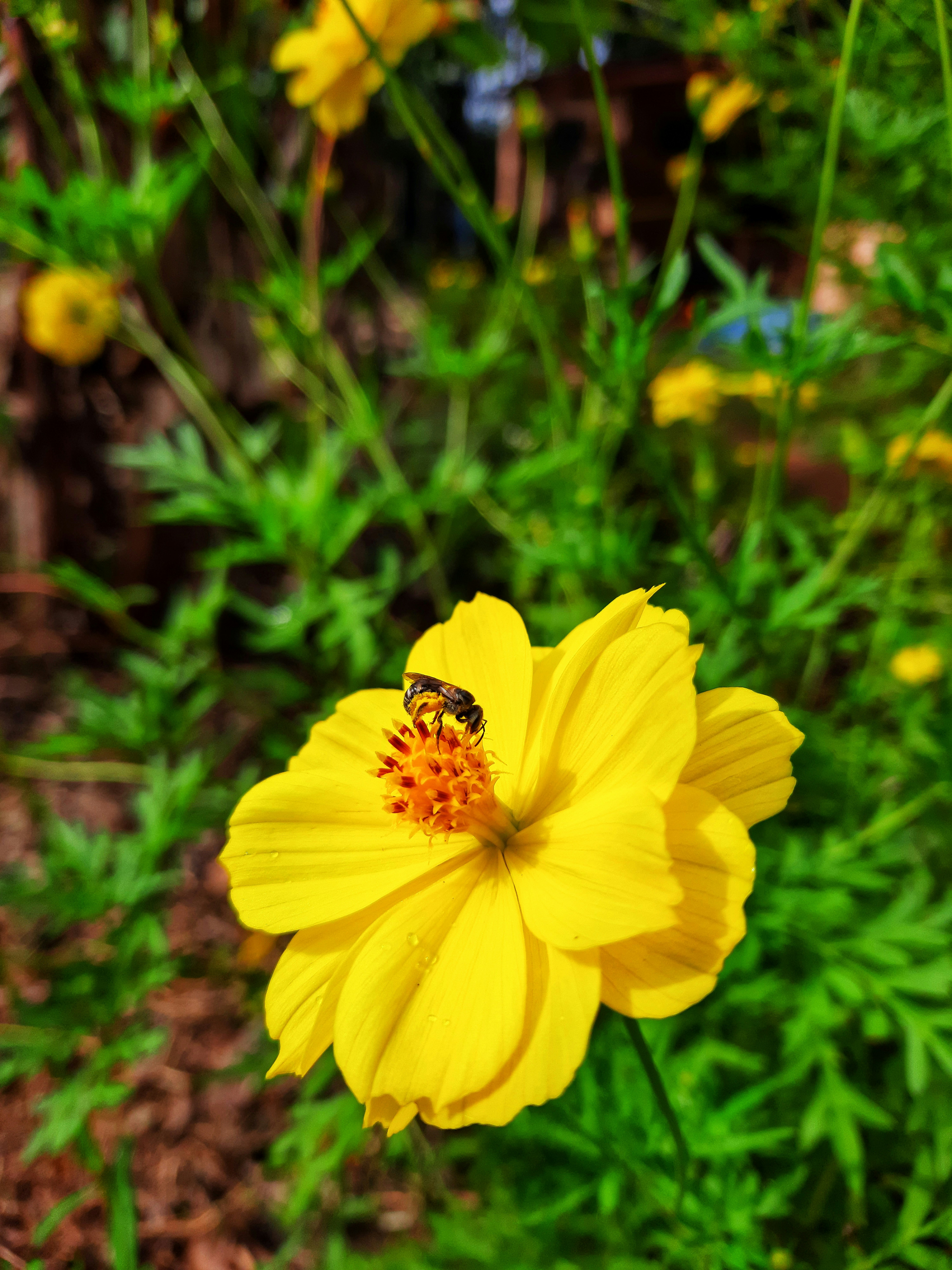 Photo by manjuvishnu