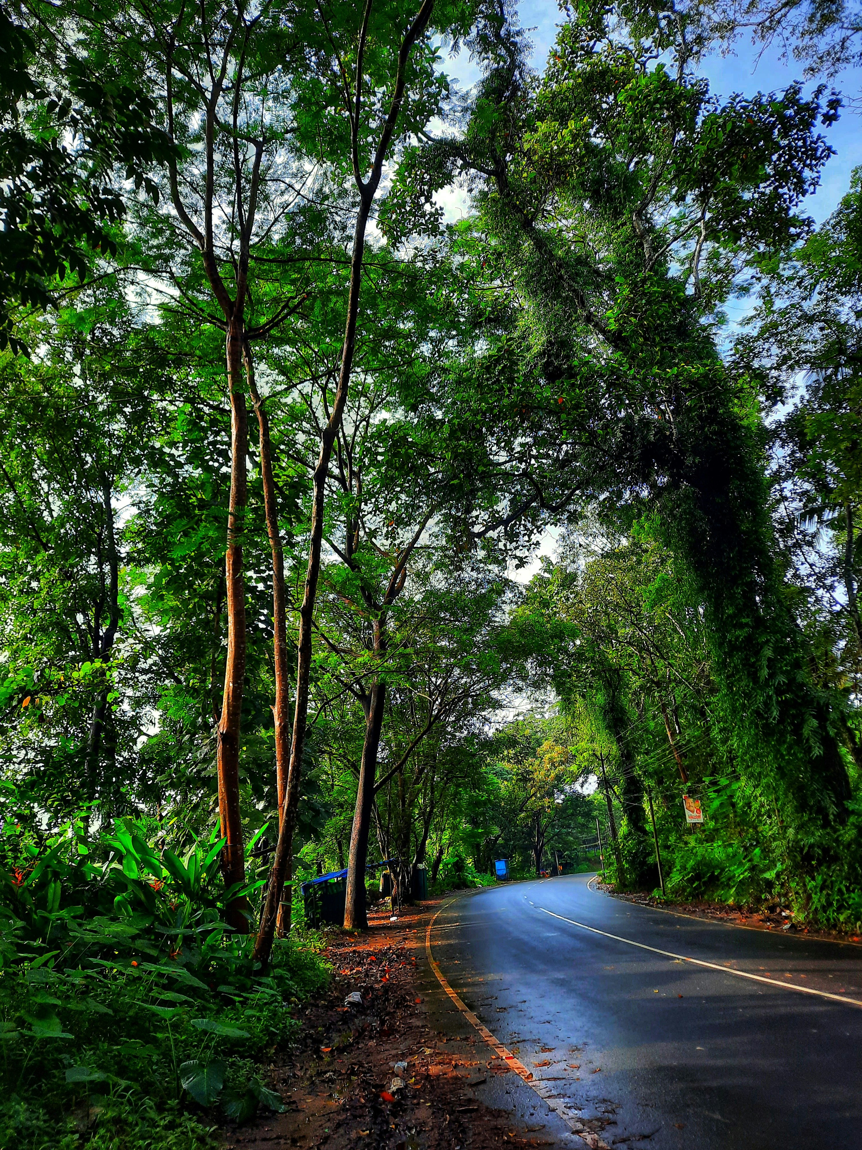 Photo by manjuvishnu