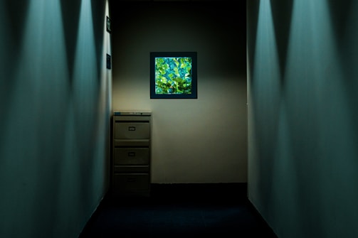 A dimly lit narrow hallway with smooth, light-colored walls. At the end of the hallway, a filing cabinet stands against the wall, partially illuminated. Above the cabinet, a small framed window displays vibrant green foliage bathed in sunlight, providing contrast to the interior's muted tones.
