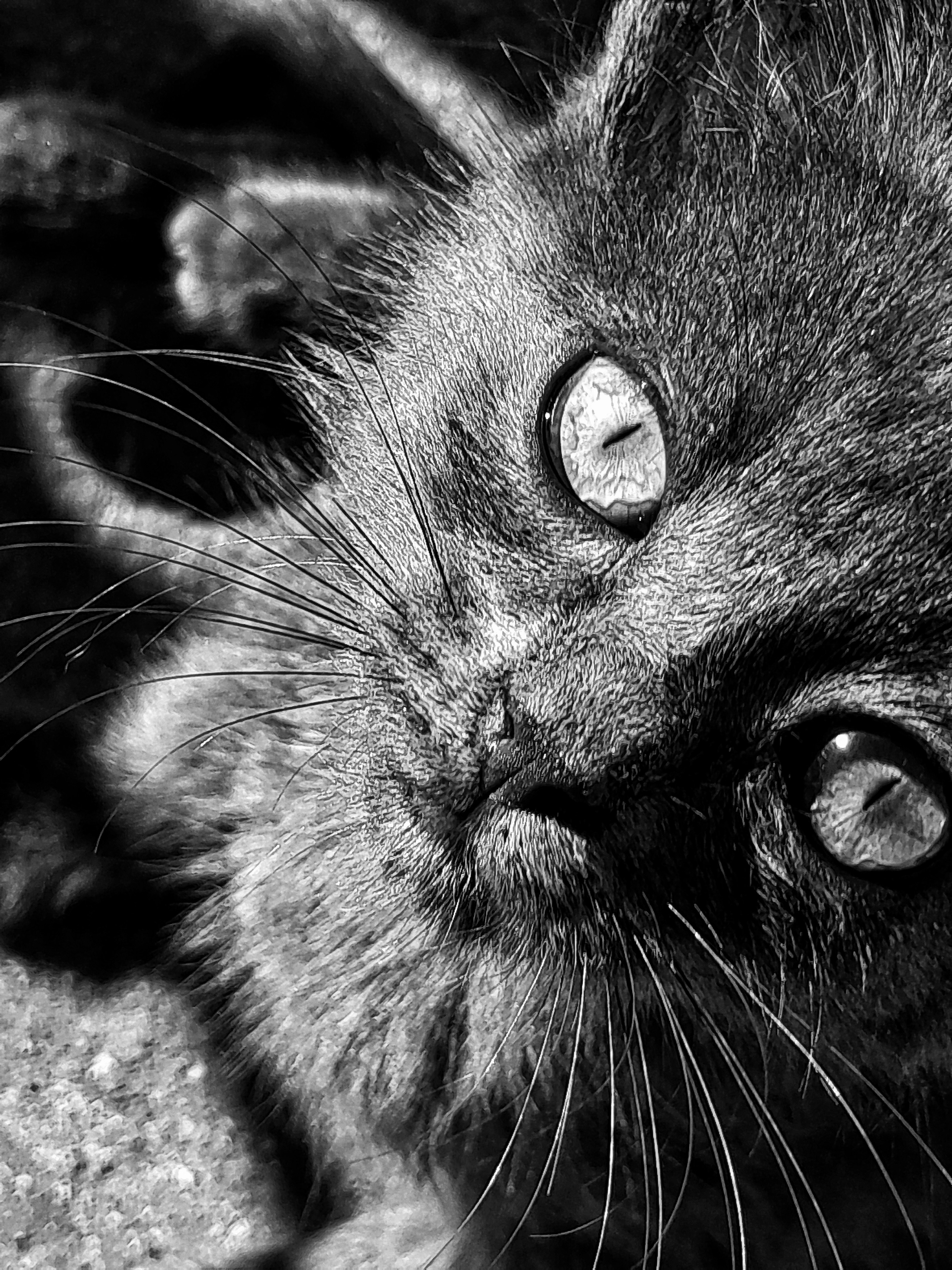 Photo by themoonfallnow